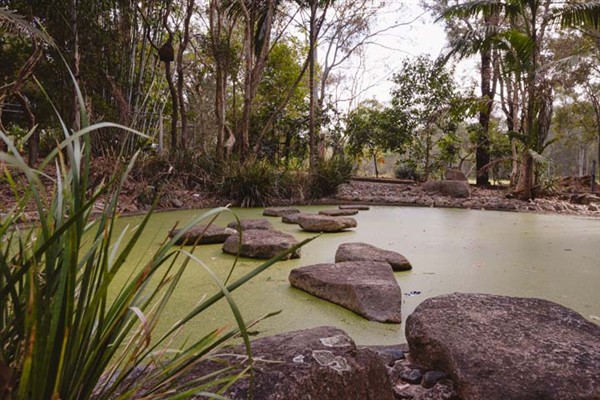 Ngutana Lui pond
