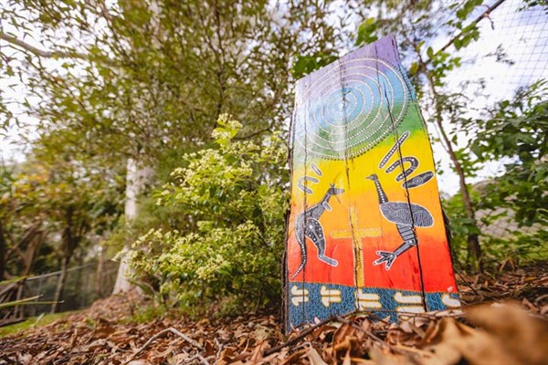 Aboriginal and Torres Strait Islander art featuring a Kangaroo and Emu