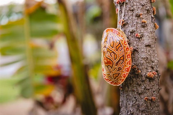 Painted tortoise shell 